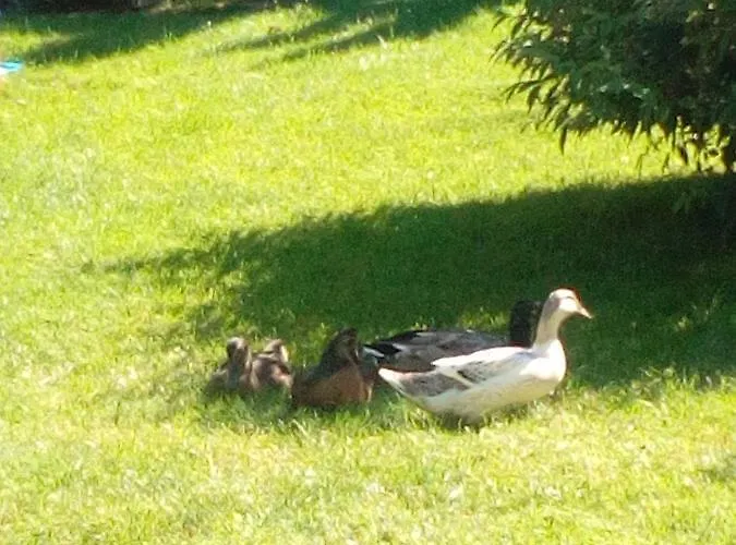 Landhaus-koenigsberg, Vorberg 360 Ebenguetlweg Apartament